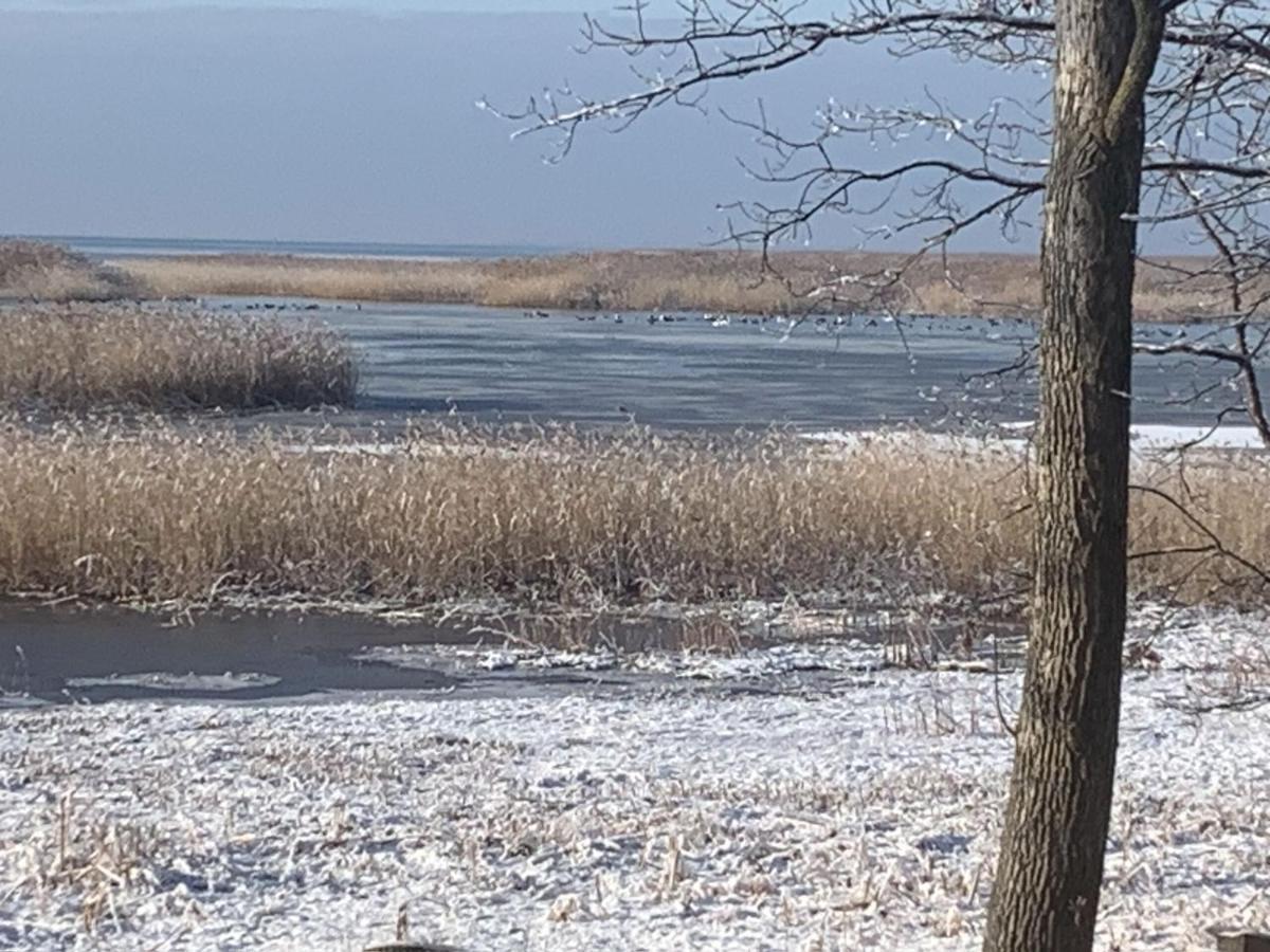 Lakeview & Wildlife Au Gres Exterior photo